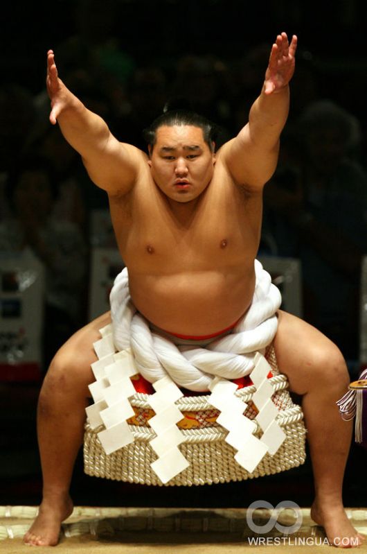 Чемпиона по сумо обвинили в драке в ночном клубе
