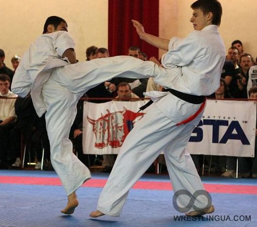 16-17 апреля 2010 года в Киеве состоится Олимпиада боевых искусств