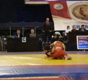 Традиционный международный турнир по вольной борьбе на призы олимпийского чемпиона Александра Медведя.