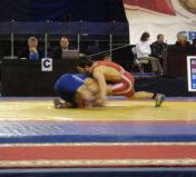 Традиционный международный турнир по вольной борьбе на призы олимпийского чемпиона Александра Медведя.