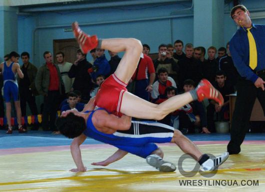 В Луганской области прошли соревнования сразу в нескольких видах борьбы.