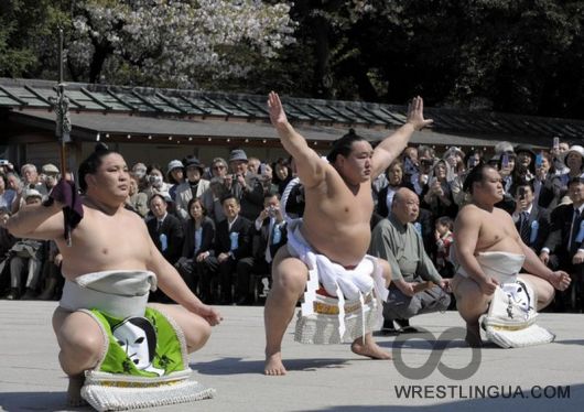 Начало ежегодного турнира сумо в Токио