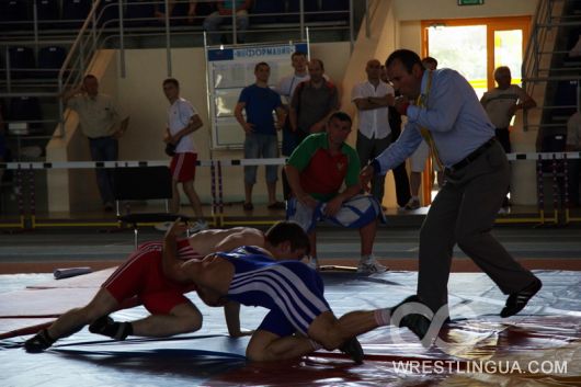 Чемпионат Республики Беларусь по греко-римской борьбе. (Результаты и фото)