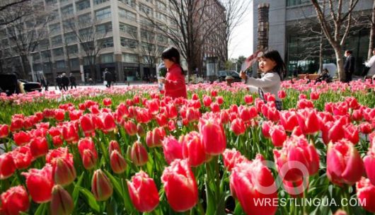 Красноярские таджики отпраздновали День тюльпанов