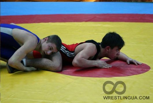 Чемпионат Украины по вольной борьбе среди мужчин