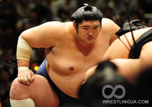 Японцы впервые за полвека не увидят чемпионат по сумо
