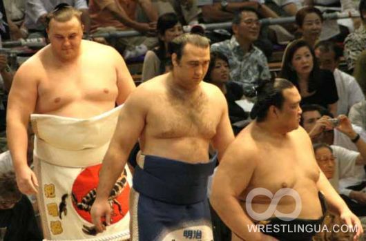 Результаты Нагоя басё - традиционного турнира по борьбе сумо
