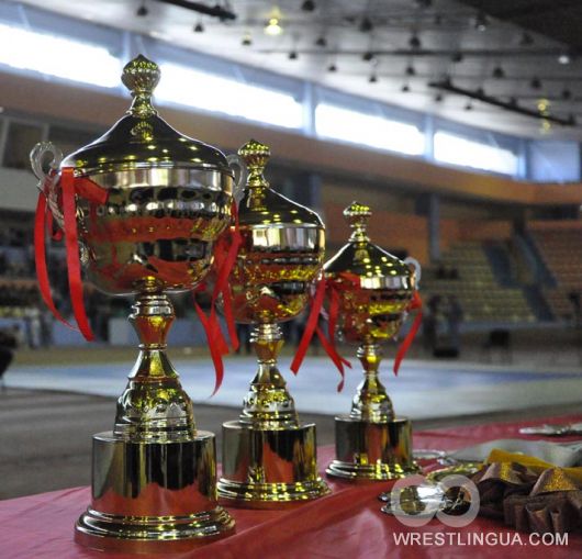Чемпионат Европы по боевому самбо. Кишинев 2012