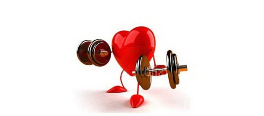 Тренированная сердечная мышца - залог будущих рекордов