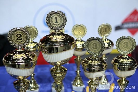 Результаты всех турниров "Фестиваля дзюдо" - 2013