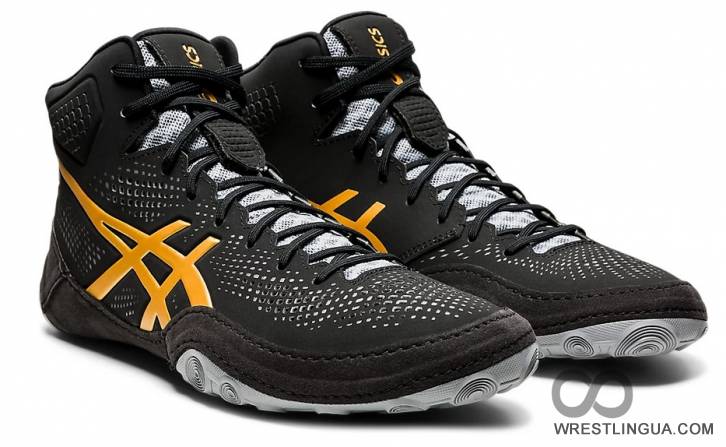 asics evo
